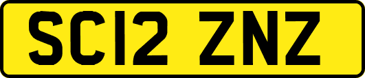 SC12ZNZ