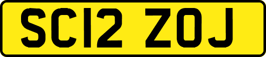 SC12ZOJ