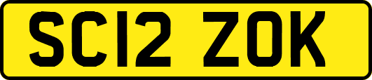 SC12ZOK