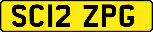 SC12ZPG