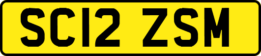 SC12ZSM
