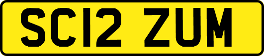 SC12ZUM