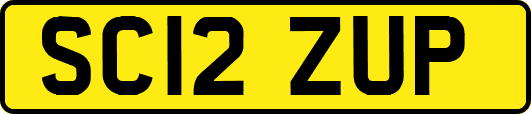 SC12ZUP