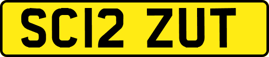 SC12ZUT