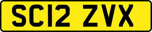 SC12ZVX