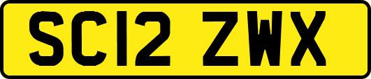 SC12ZWX