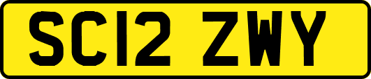 SC12ZWY