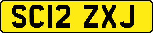 SC12ZXJ