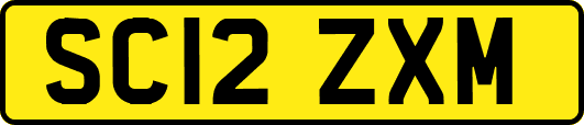 SC12ZXM