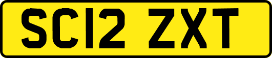 SC12ZXT