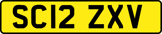 SC12ZXV