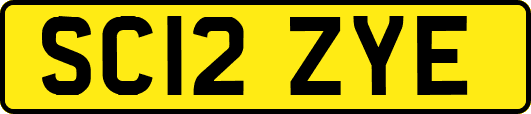 SC12ZYE