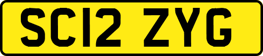 SC12ZYG