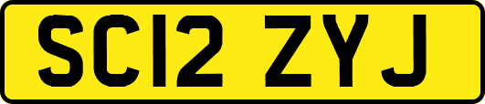 SC12ZYJ