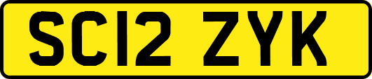 SC12ZYK