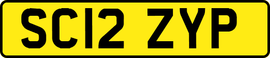 SC12ZYP