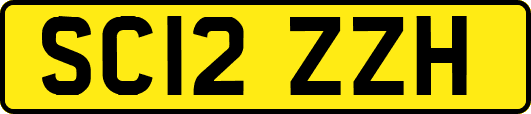 SC12ZZH