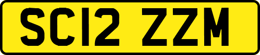 SC12ZZM