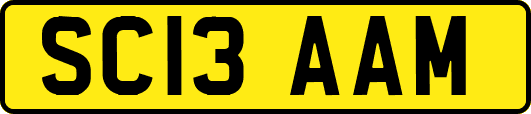 SC13AAM