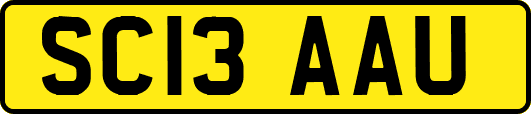 SC13AAU