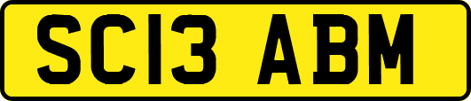SC13ABM