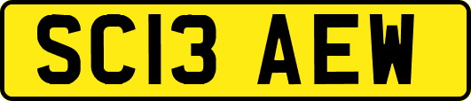 SC13AEW