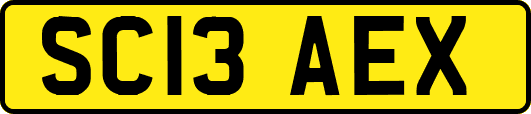 SC13AEX