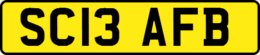 SC13AFB