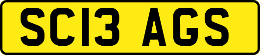 SC13AGS