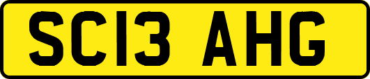 SC13AHG
