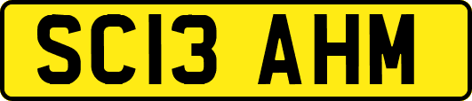SC13AHM