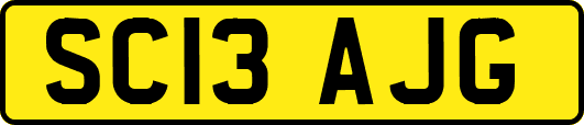 SC13AJG