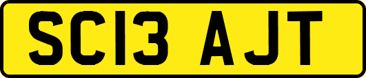 SC13AJT