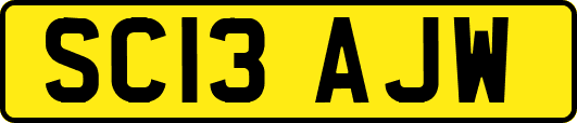 SC13AJW