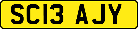SC13AJY