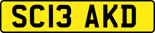 SC13AKD