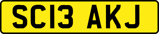 SC13AKJ