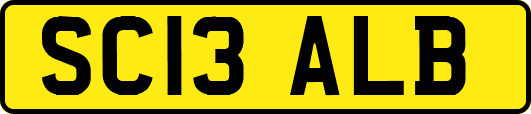 SC13ALB