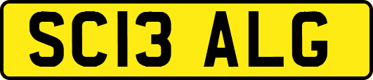 SC13ALG