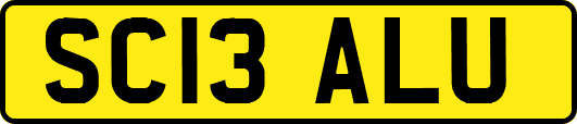 SC13ALU
