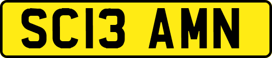 SC13AMN