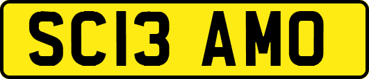 SC13AMO