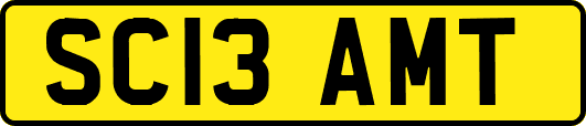 SC13AMT