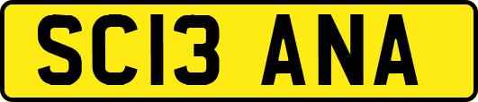 SC13ANA