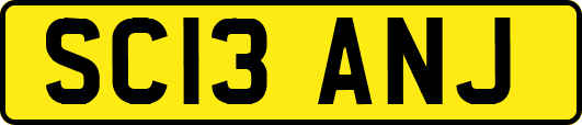 SC13ANJ