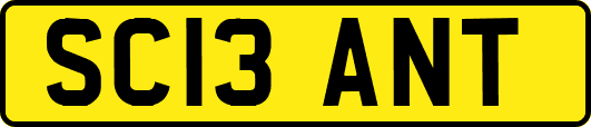 SC13ANT