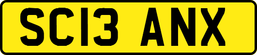 SC13ANX