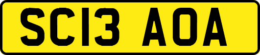 SC13AOA