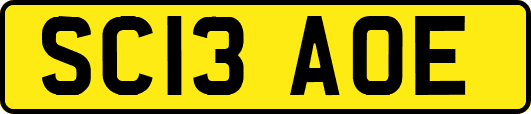 SC13AOE