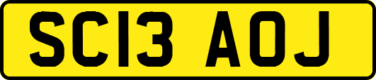 SC13AOJ